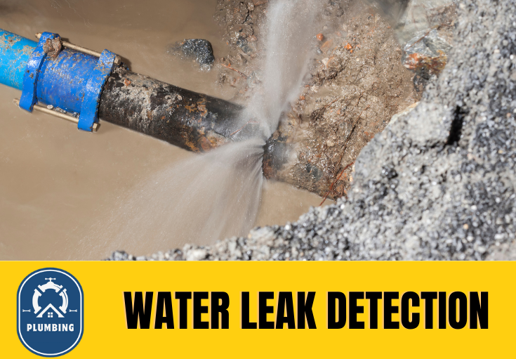 leak detection Shorne