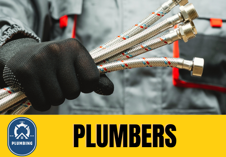  plumber Luddesdown